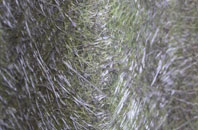 Kingerby fibreglass roof work